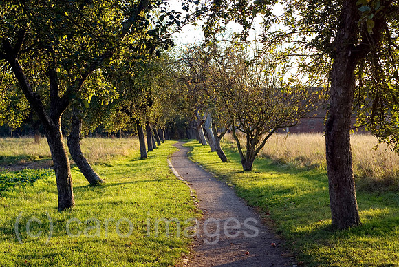 00N071013D407CAROEP.JPG