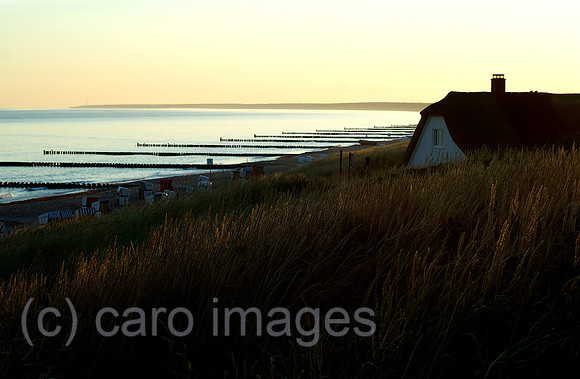 00N080724D035CAROEP.JPG