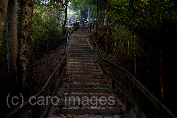 00N091001D010CAROE.JPG