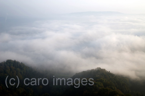 00N091001D080CAROE.JPG