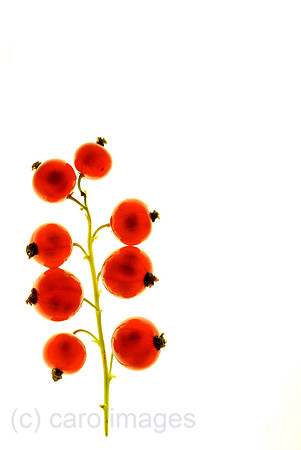 00N080714D141CAROEP.JPG