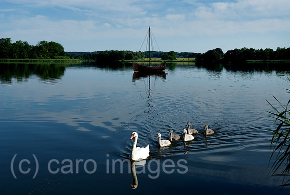 00N070610D323CAROEP.JPG
