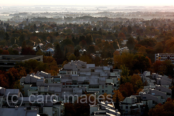 00N081012D050CAROE.JPG
