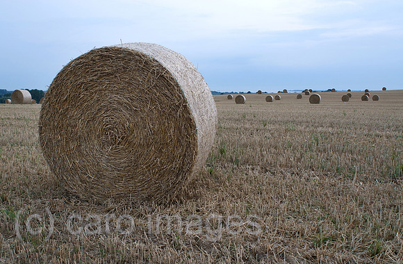 00N090810D030CAROE.JPG
