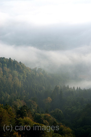 00N091001D111CAROE.JPG