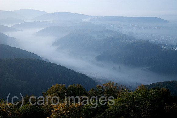 00N091001D076CAROE.JPG