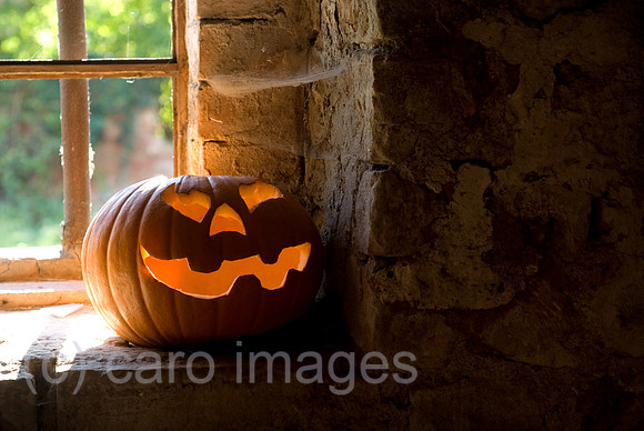00N071014D307CAROEP.JPG
