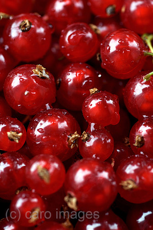 00N080714D015CAROEP.JPG