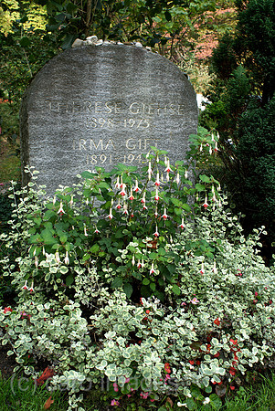 00N091001D240CAROE.JPG