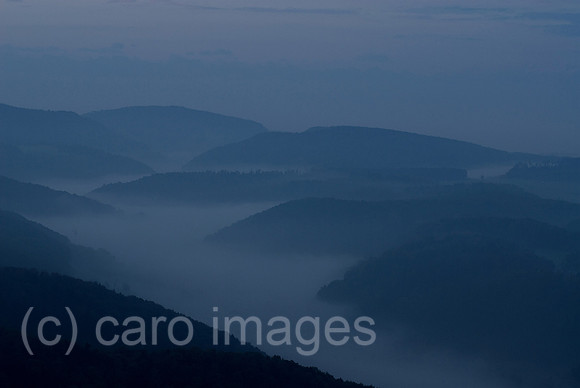 00N091001D022CAROE.JPG