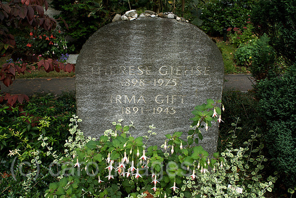 00N091001D250CAROE.JPG