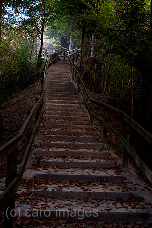 00N091001D011CAROE.JPG