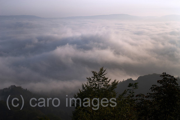 00N091001D082CAROE.JPG