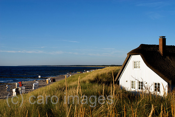 00N080724D050CAROEP.JPG