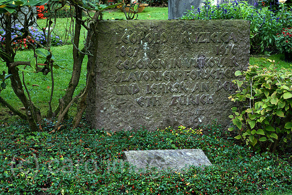 00N091001D235CAROE.JPG