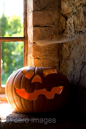 00N071014D315CAROEP.JPG