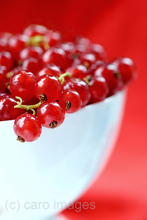 00N080714D100CAROEP.JPG