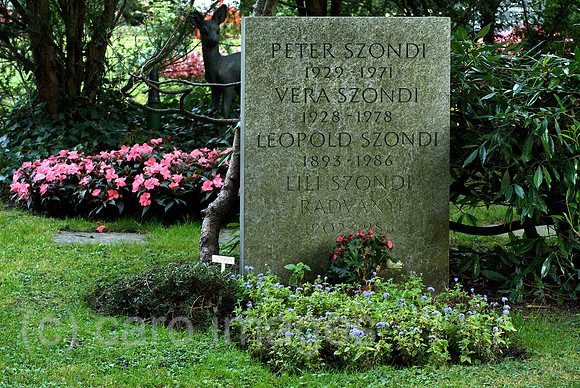 00N091001D228CAROE.JPG