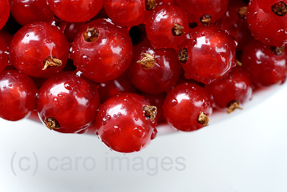 00N080714D017CAROEP.JPG