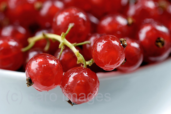 00N080714D080CAROEP.JPG