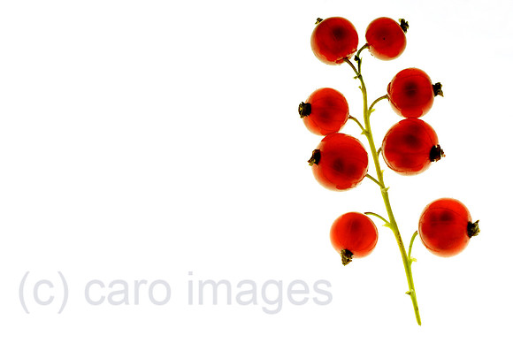 00N080714D139CAROEP.JPG