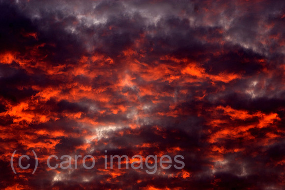 00N080927D530CAROE.JPG