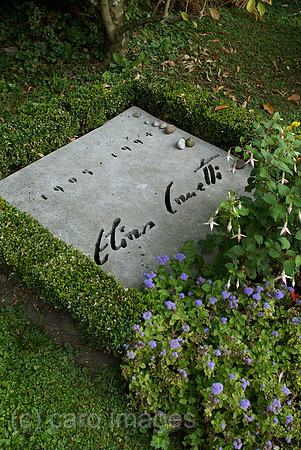 00N091001D259CAROE.JPG