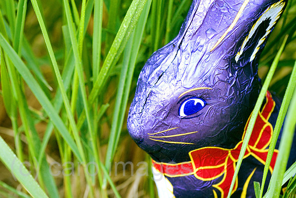00N070924D118CAROEP.JPG