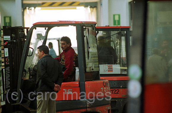 00M100608CARO.JPG