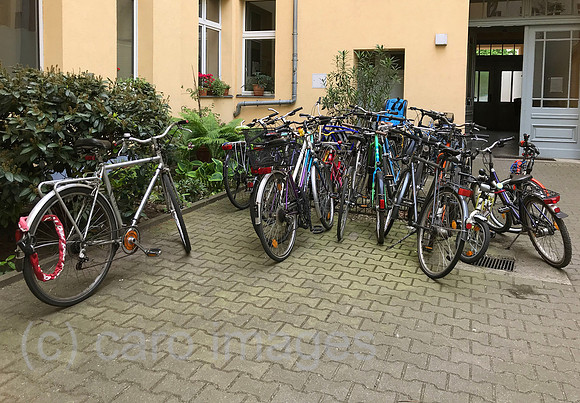 00S200517D407CAROEX.JPG
