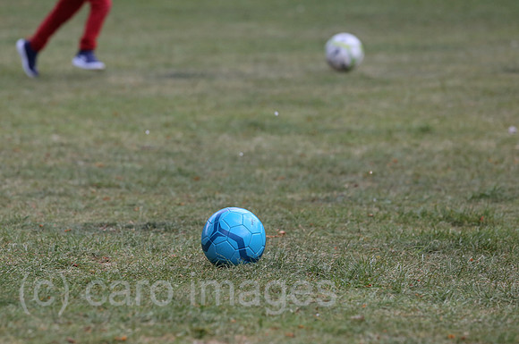 00S200424D109CAROEX.JPG