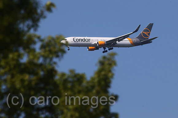 00S200507D463CAROEX.JPG