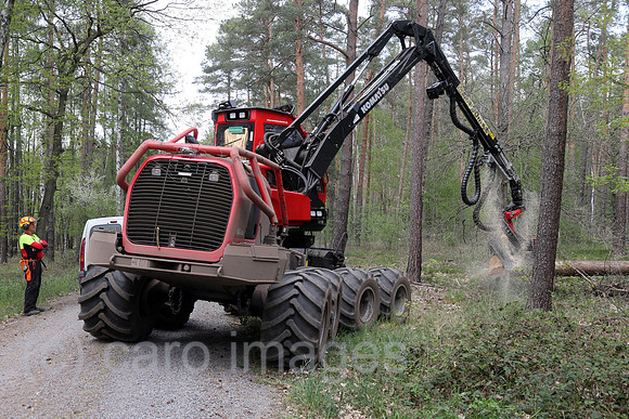 00S200428D385CAROEX.JPG