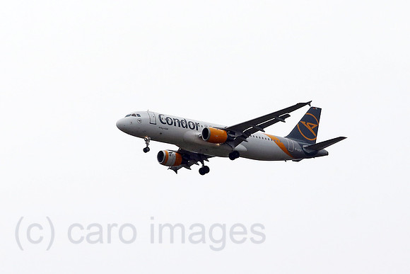 00S200628D618CAROEX.JPG