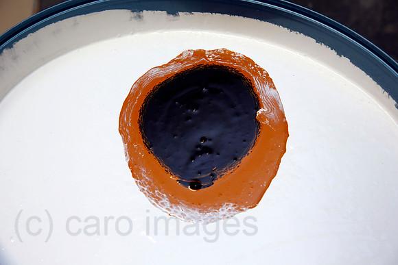 00S200527D427CAROEX.JPG