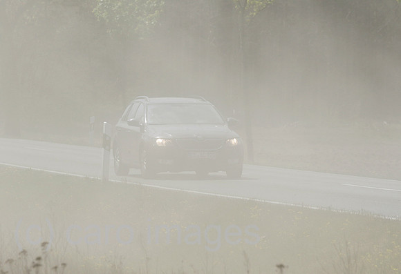 00S200428D364CAROEX.JPG