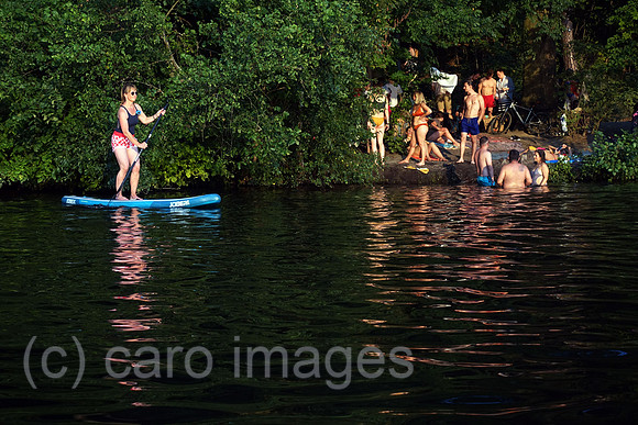 00S200808D673CAROEX.JPG
