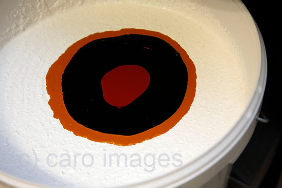 00S200527D425CAROEX.JPG