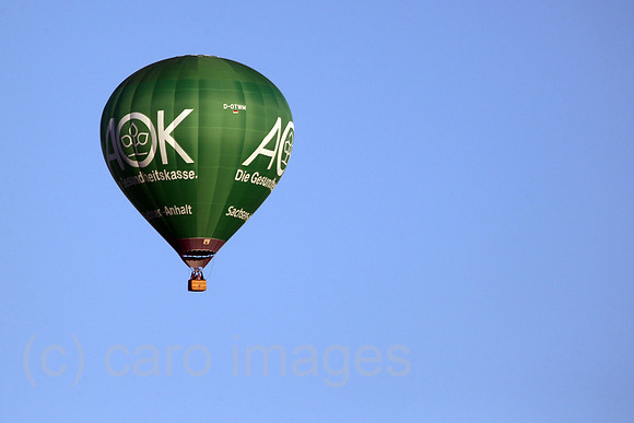 00S200731D655CAROEX.JPG