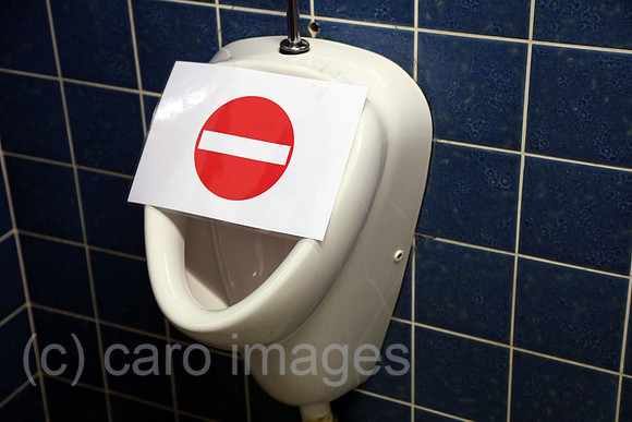 00S200507D460CAROEX.JPG