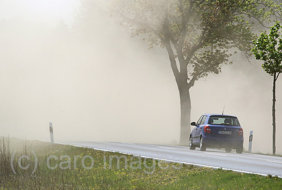 00S200428D362CAROEX.JPG