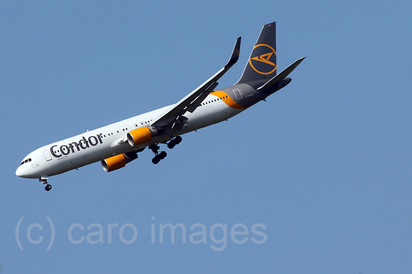 00S200507D462CAROEX.JPG
