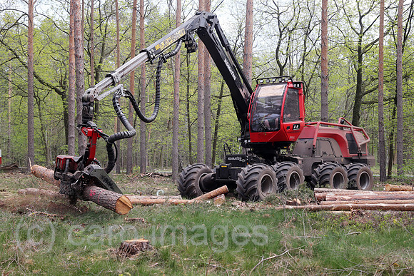 00S200428D383CAROEX.JPG