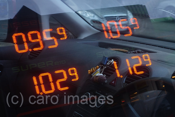 00S200501D452CAROEX.JPG