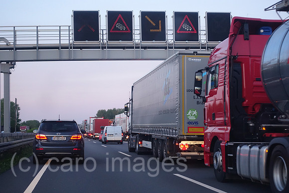 00S200507D470CAROEX.JPG