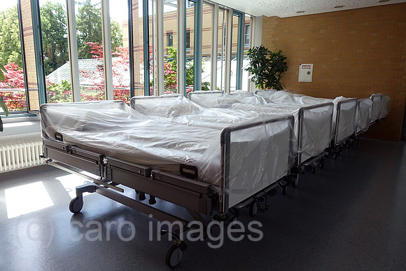 00S200602D485CAROEX.JPG