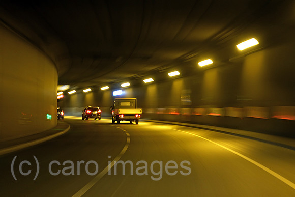 00S200616D540CAROEX.JPG