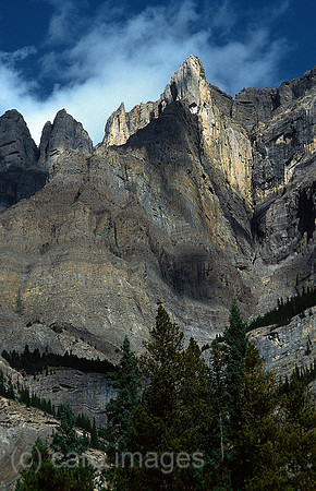 0RJ050927D016CARO.JPG
