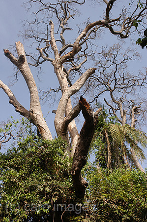 0RJ050414D066CARO.JPG