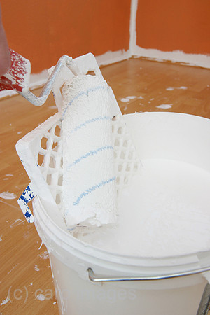 0GK050317D010CARO.JPG
